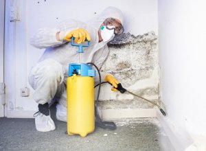 Dezynfekcja po zmarłym - dlaczego warto wybrać profesjonalną pomoc