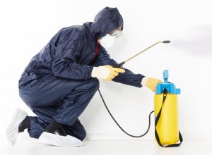 Dezynfekcja domu po chorobie - najlepsze sposoby